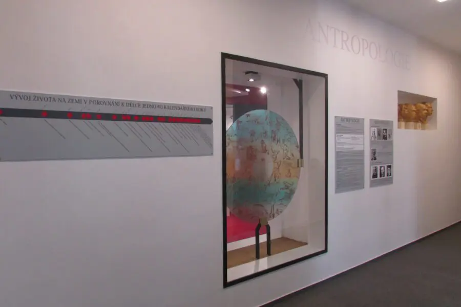 Antropologická expozice