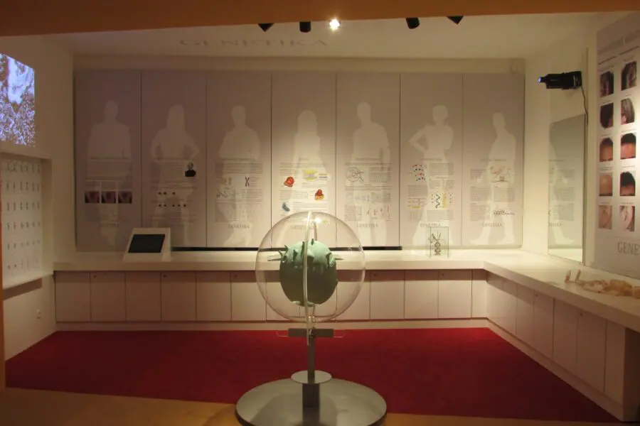 Antropologická expozice