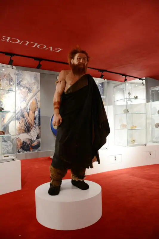 Antropologická expozice